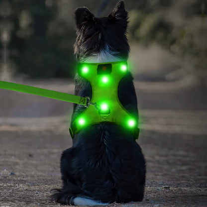 LED Dog Harness, Lighted up USB Rechargeable Pet Harness, Illuminated Reflective Glowing Dog Vest Adjustable Soft Padded No-Pull Suit for Small, Medium, Large Dogs (Green, S)